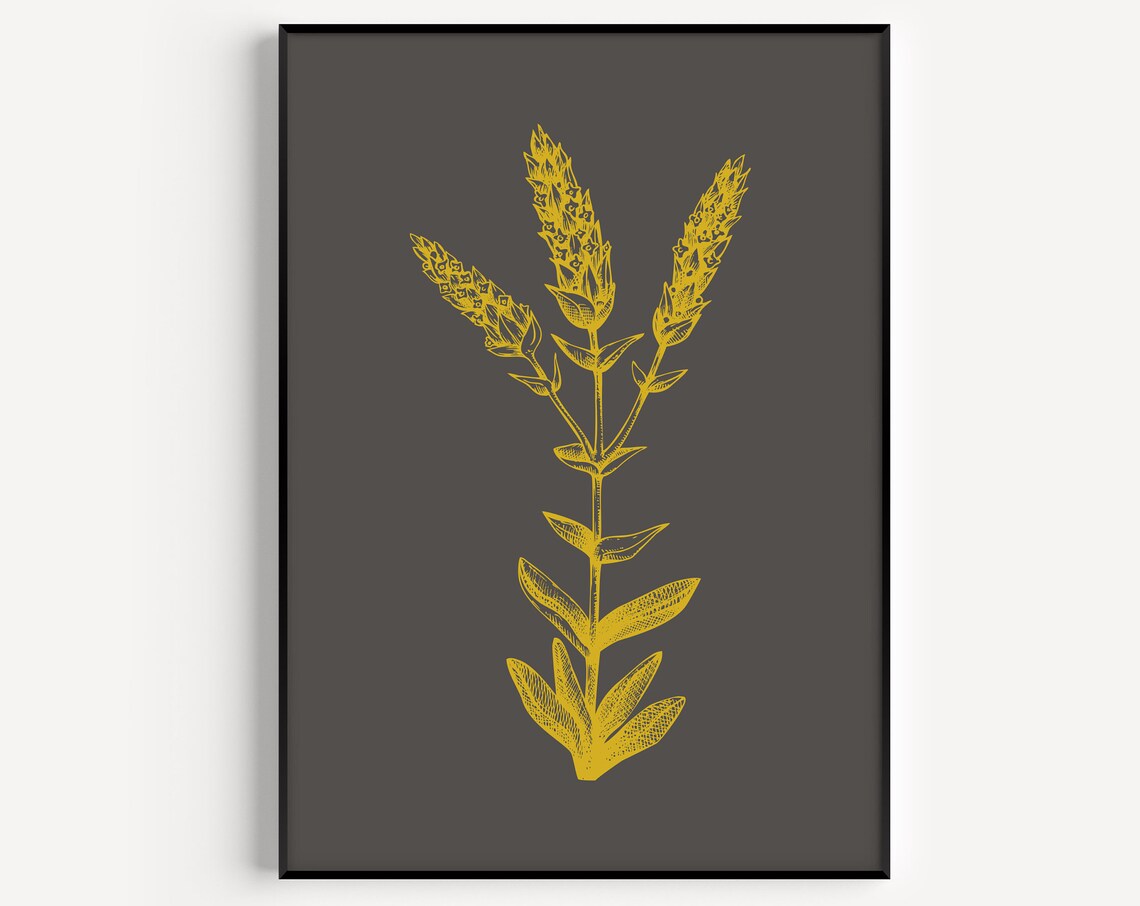 Minimalist Botanical Art Print