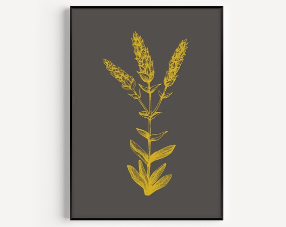 Minimalist Botanical Art Print