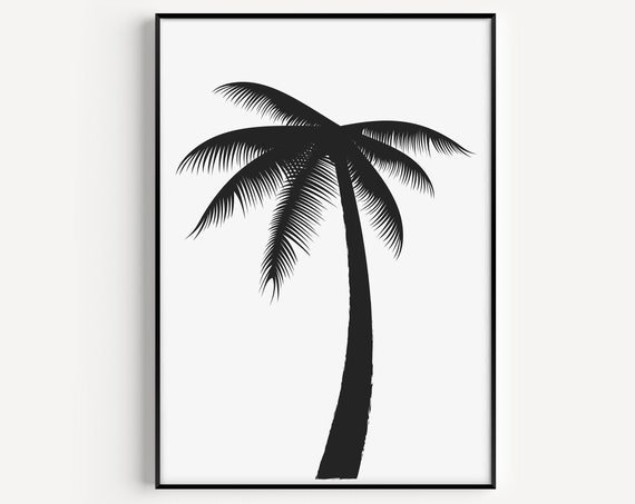 Black And White Prints Wall Art Palm Tree Print Fine Monochrome Posters