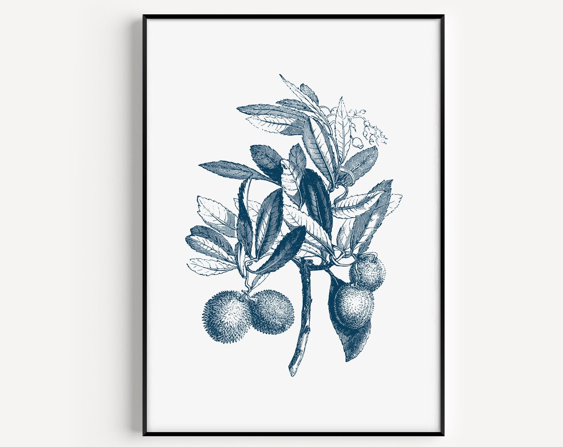Flower Prints, Minimalist Botanical Art Print