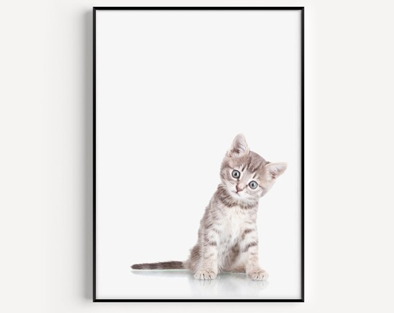 Wall Art Kitten Print Cat Cute Minimalist Modern