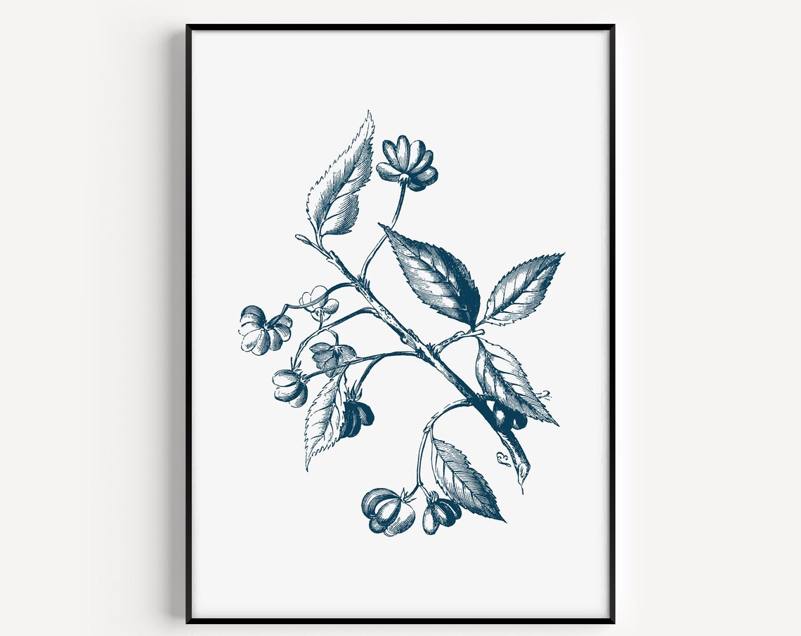 Blue Botanical Branch Ink Drawing Elegant Vintage Floral Art Print
