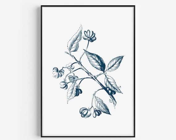 Blue Botanical Branch Ink Drawing Elegant Vintage Floral Art Print