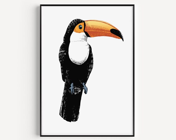 Wall Art Prints Scandi Print Pelican Modern Minimalist Scandinavian Poster