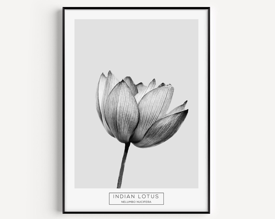 Botanical Flower Minimalist Art Print, Black White