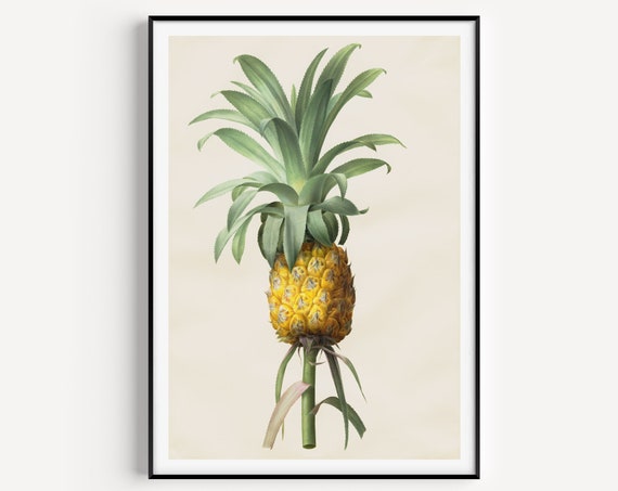 Wall Art Print Kitchen Pineapple Poster Minimalist Prints