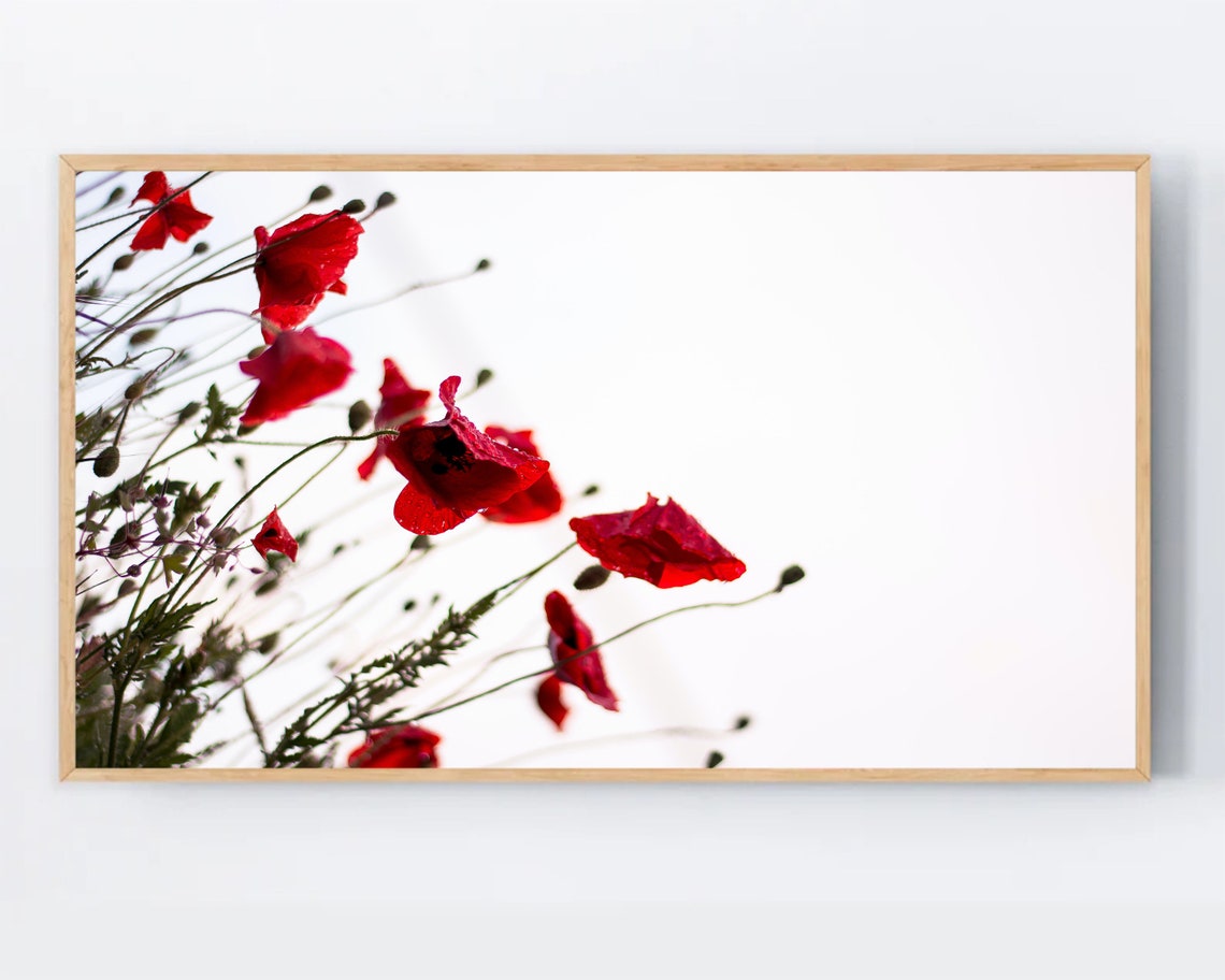 Samsung Frame Tv Art Poppies Spring Farmhouse Poppy Botanical Red