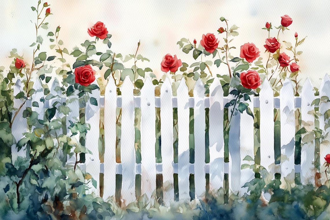 Red Roses Climbing White Picket Fence Watercolor Floral Art Print