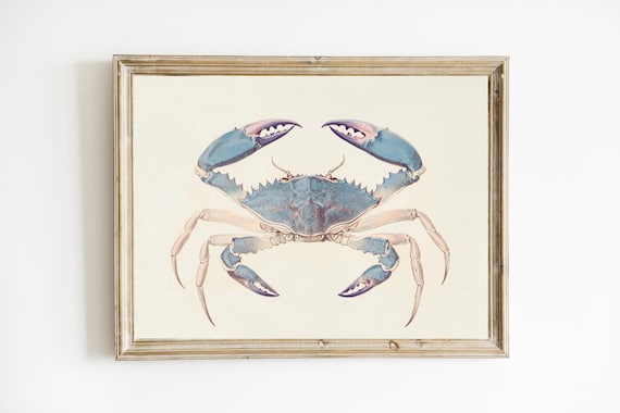 Crab Print Seaside Art Beach Wall Modern Farmhouse Coastal Abstract Ocean E581