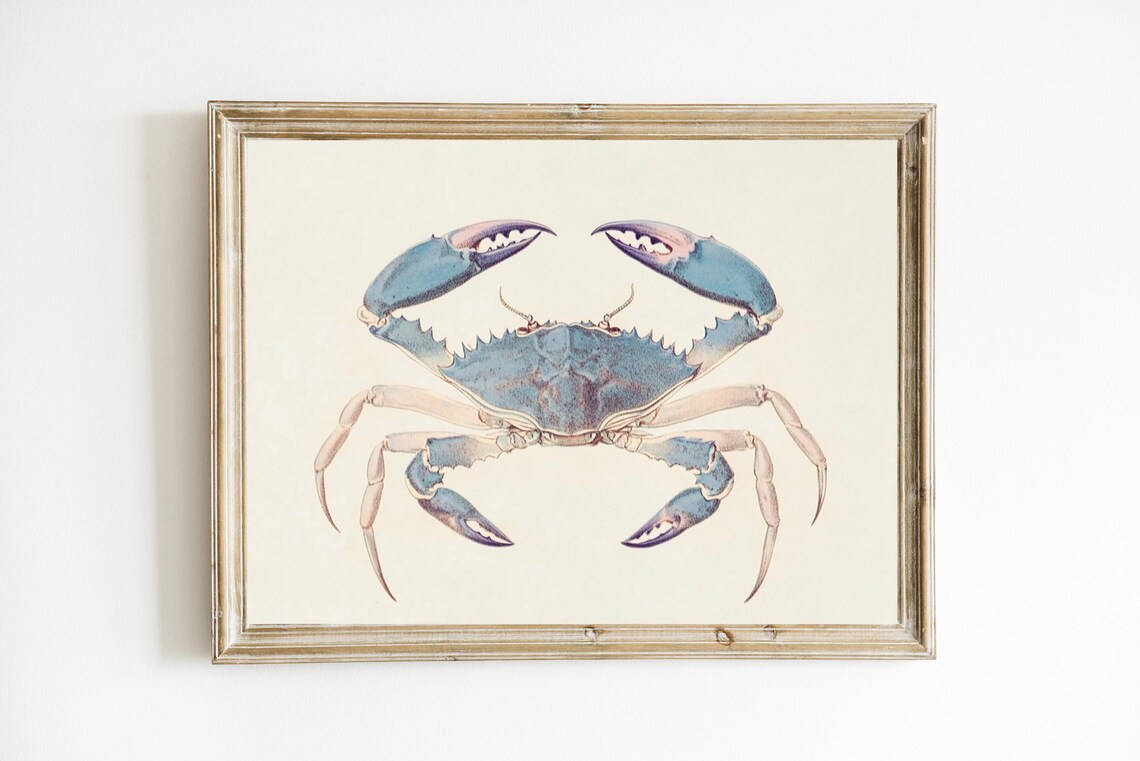 Crab Print Seaside Art Beach Wall Modern Farmhouse Coastal Abstract Ocean E581