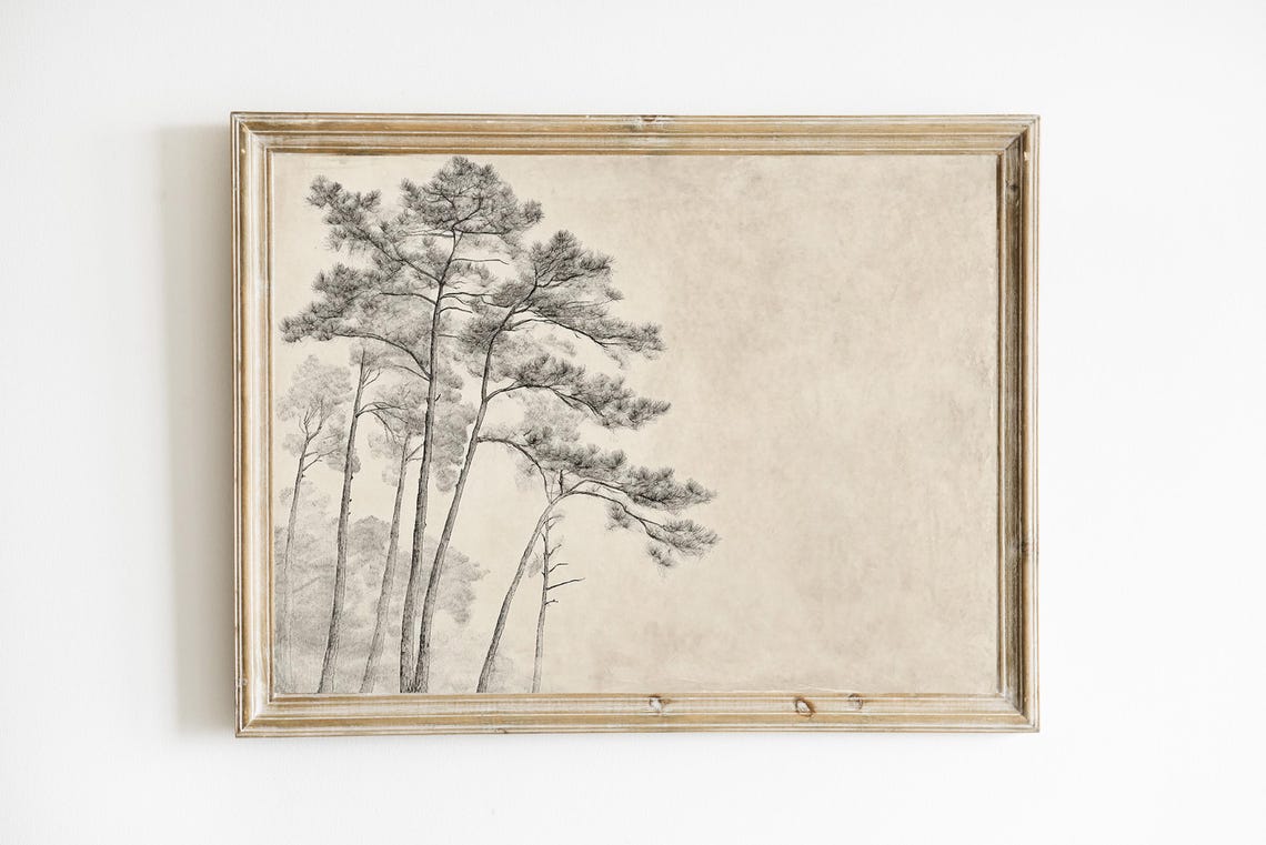Tall Pine Trees Antique Sketch Minimalist Rustic Forest Poster