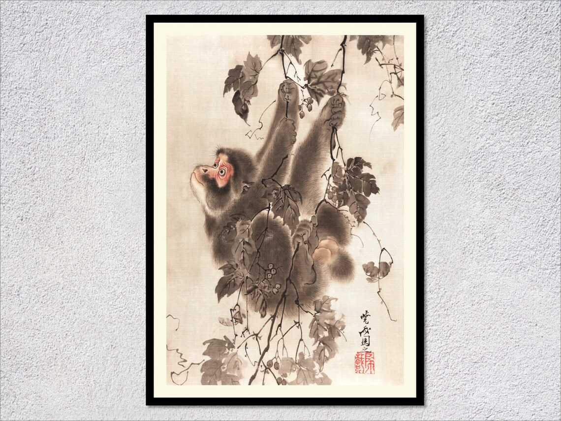 Japanese Monkey Hanging From Grapevines Ink Wash Vintage Animal Art Print