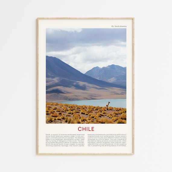 Minimalist Chile Travel Photo Poster Featuring a Guanaco in the Altiplano