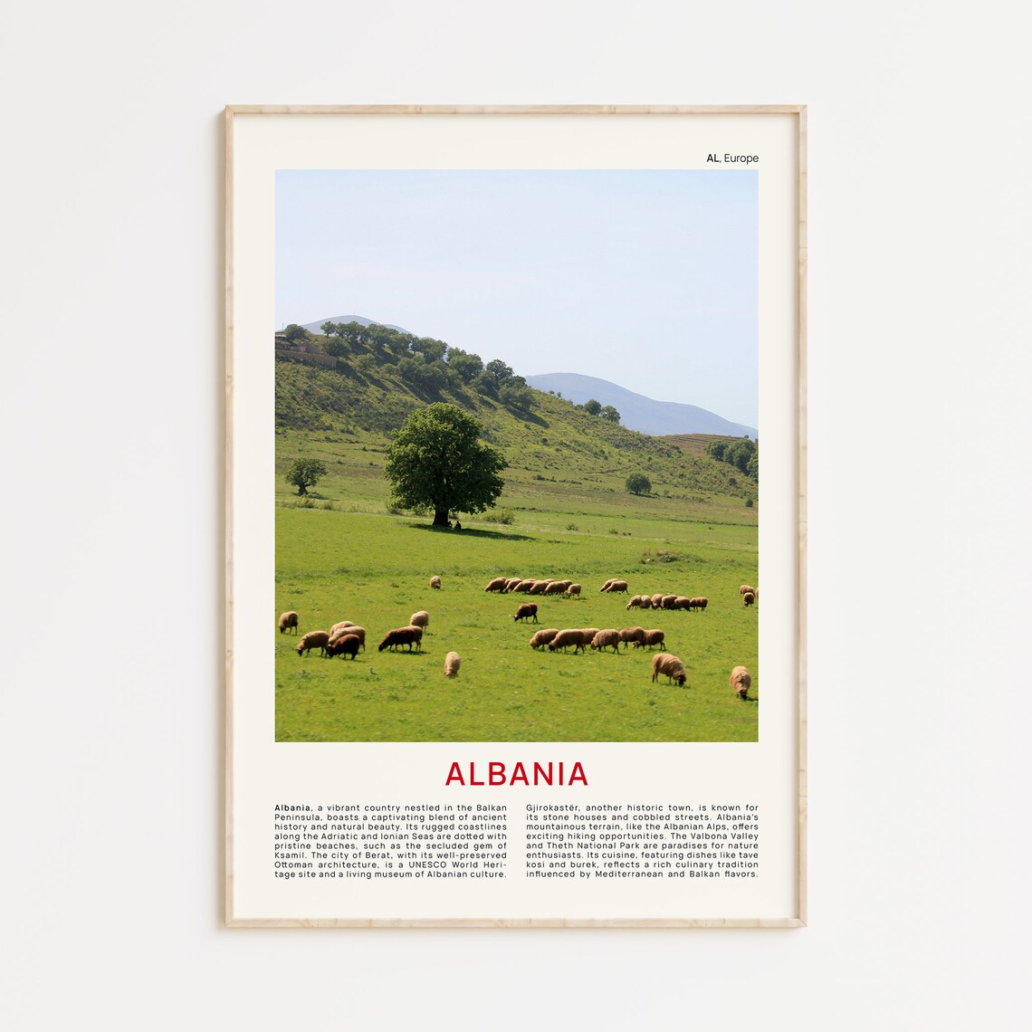 Albania Film Photo Sheep Grazing Hillside Pastoral Travel Poster