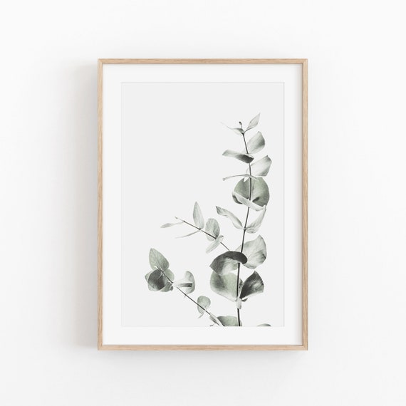 Eucalyptus Botanical Art Print, Floral Wall Decor