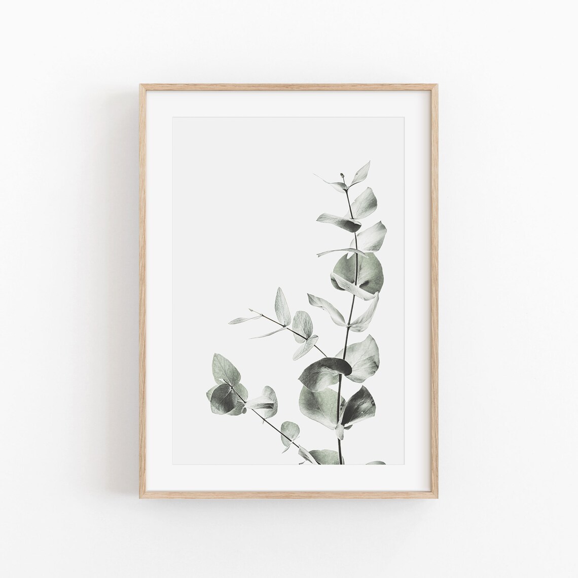 Eucalyptus Botanical Art Print, Floral Wall Decor