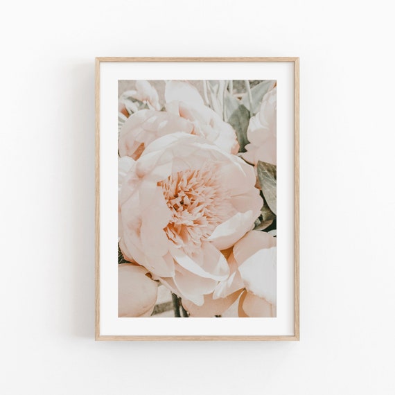 Summer Flowers Print, Modern Minimalist Poster