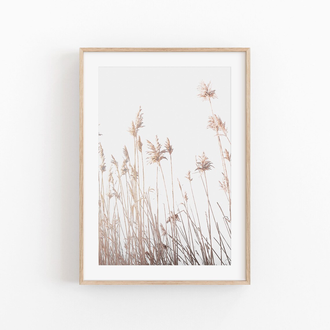 Pampas Grass Print, Modern Minimalist Poster