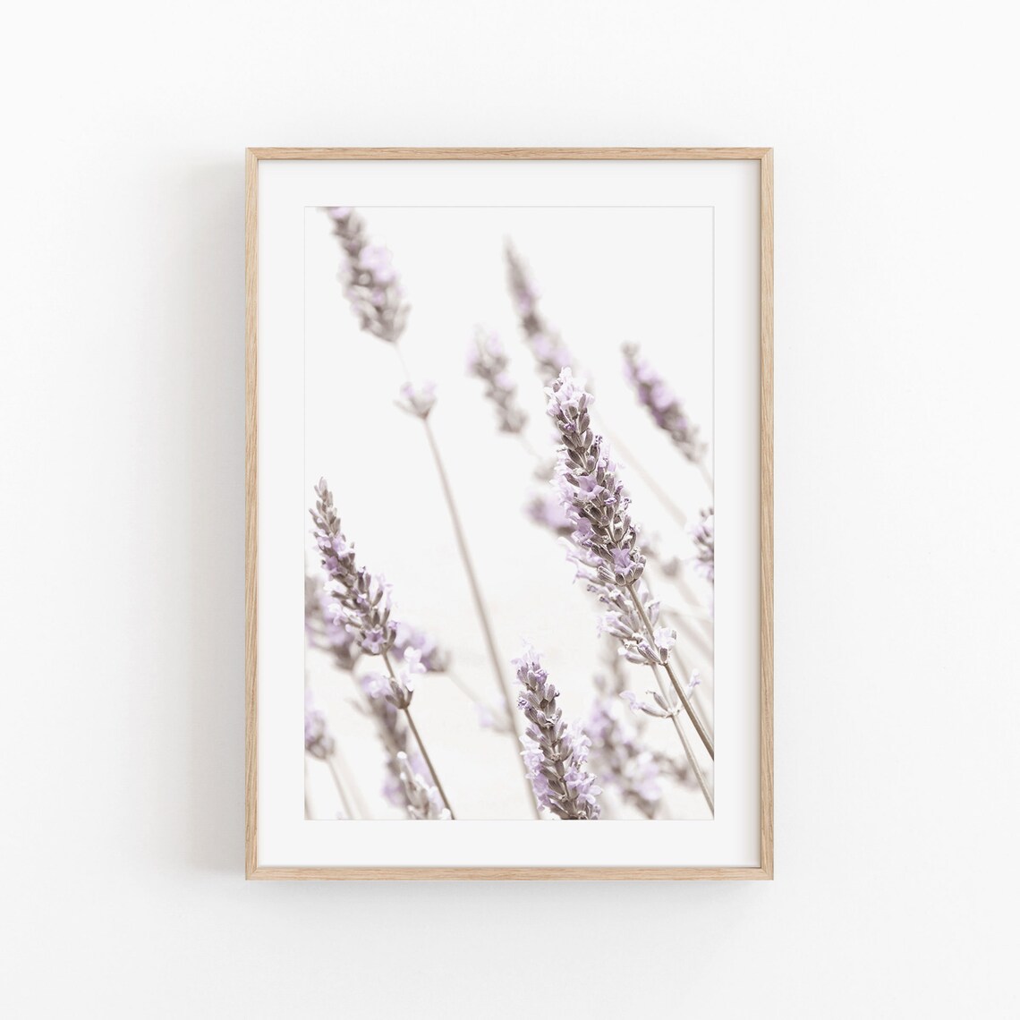 Lavender Flowers Print, Modern Minimalist Art Poster