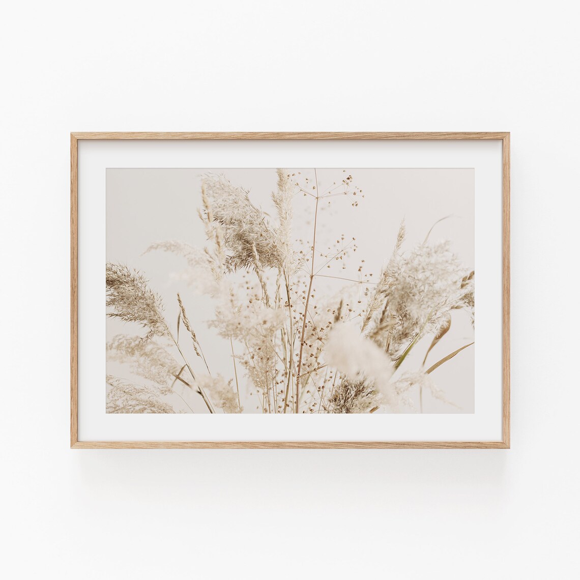 Pampas Botanical Art Print, Modern Minimalist Poster