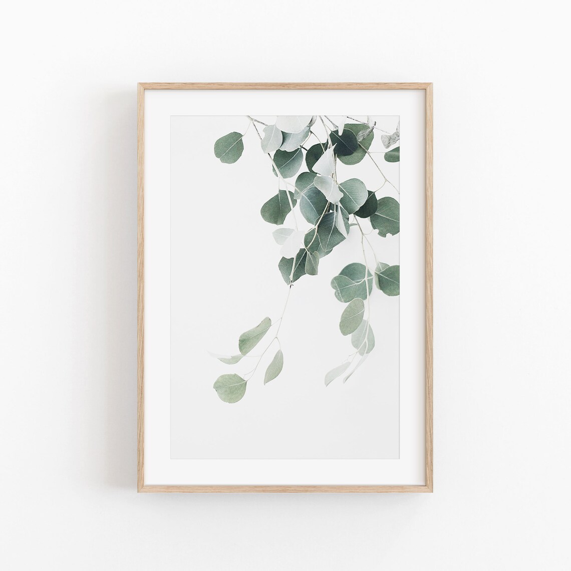 Eucalyptus Botanical Art Print, Floral Decor Poster