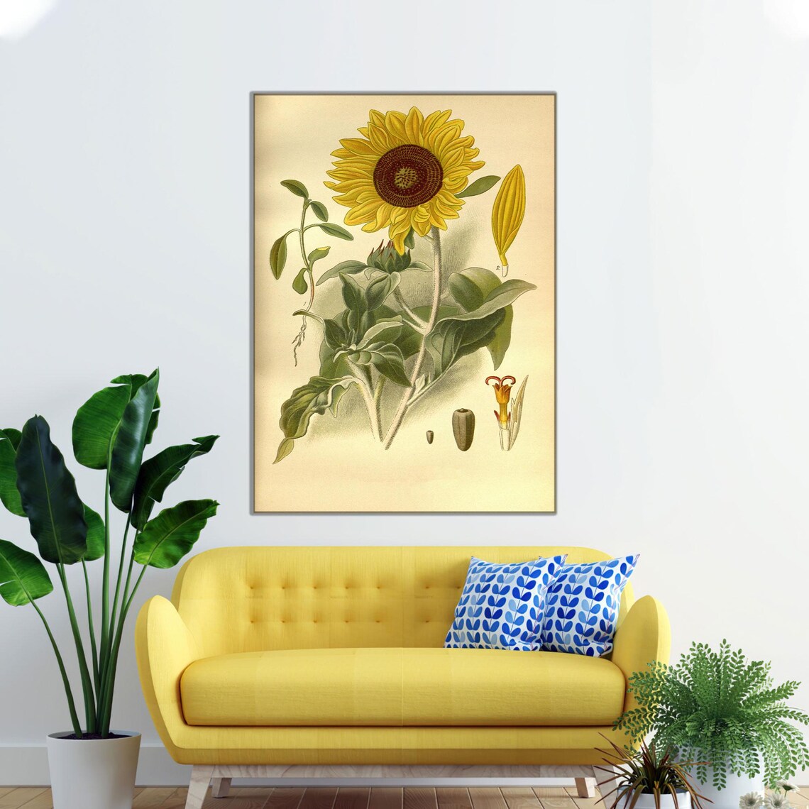 Vintage Sunflower Botanical Print, Living Room Decor
