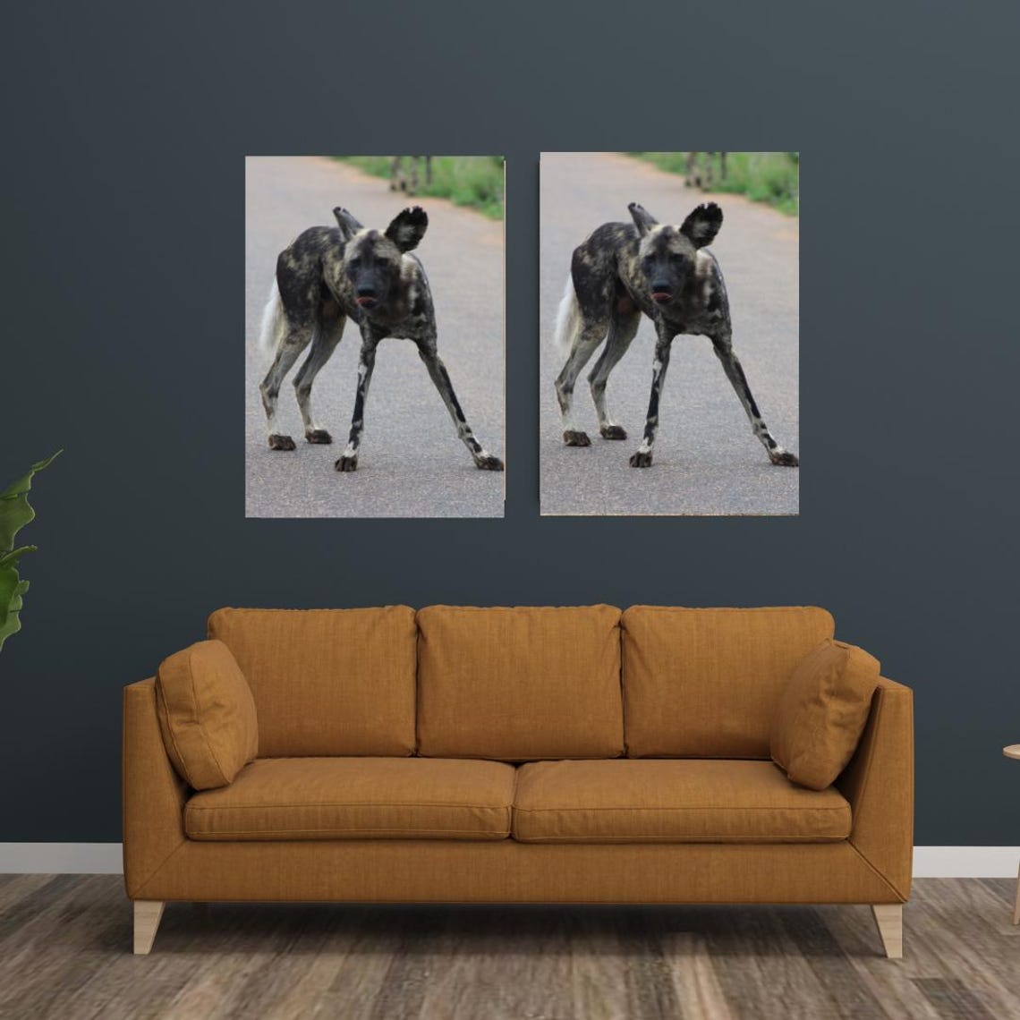 African Wild Dog Standing On A Safari Road Looking At Camera Poster - Image 3