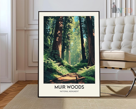Muir Woods National Monument Redwood Forest Trail Scenic Poster
