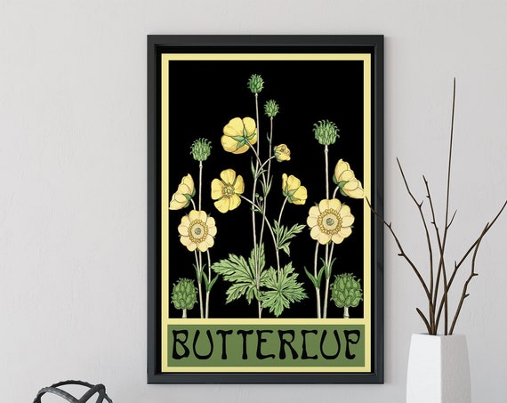 Art Nouveau Buttercups Floral Art Print, Vintage