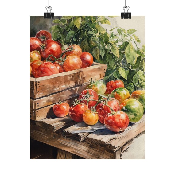 Tomato Harvest Watercolor Garden Vegetable Print Fresh Farm Bounty Decor Kitchen Still Life Art Produce Market Art