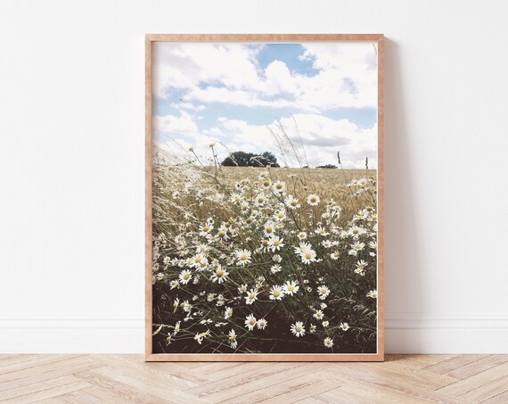 Daisy Field Art Print, Wildflowers Wall Art