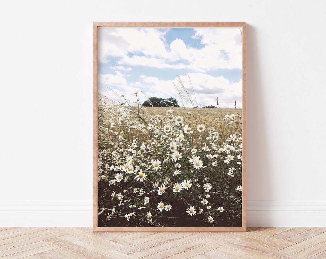 Daisy Field Art Print, Wildflowers Wall Art