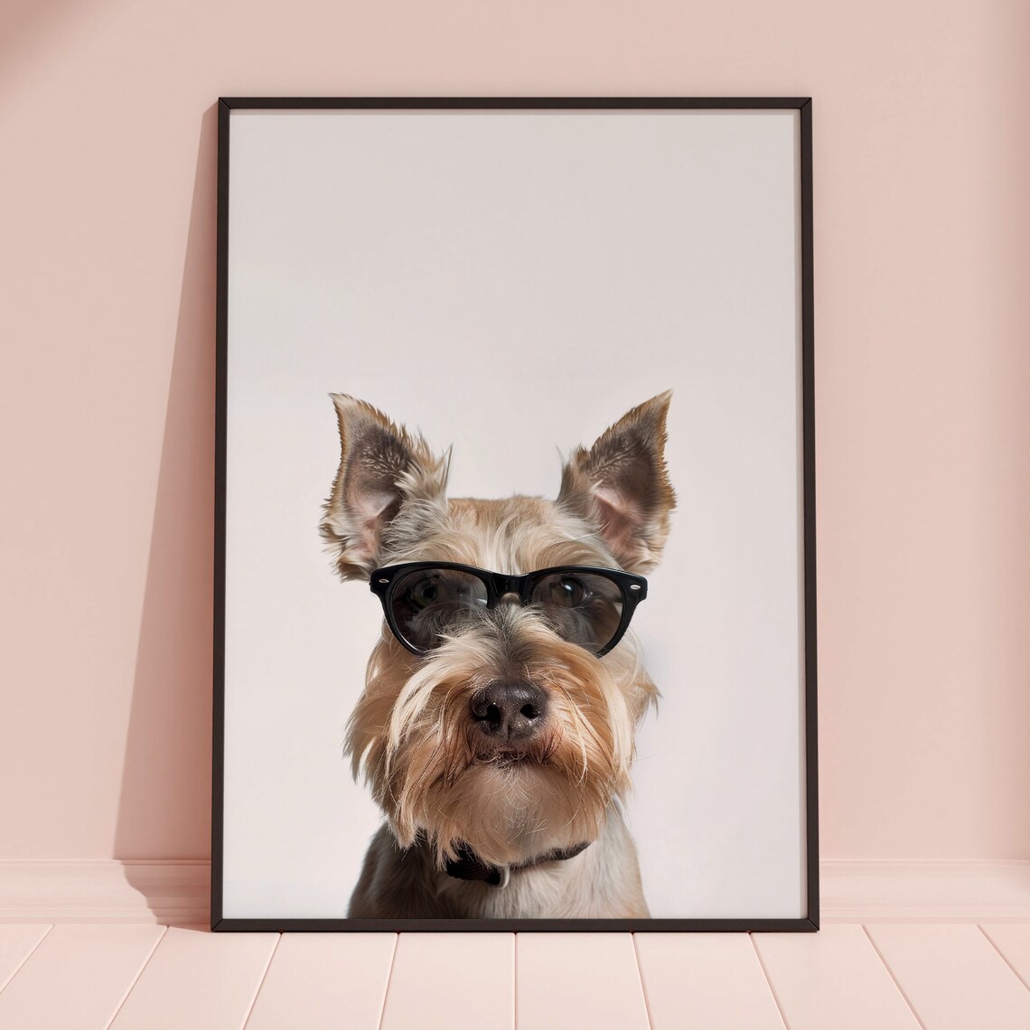 Schnauzer Dog in Cool Sunglasses White Background Portrait Poster - Image 3