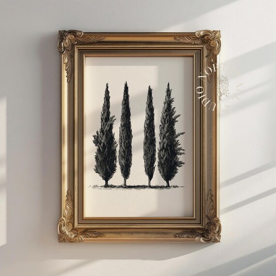 Cypress Tree Sketch Print Minimalist Black Ink Botanical Art