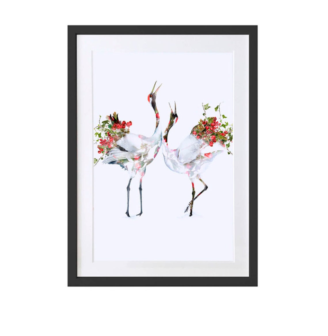 Japanese Crane, Fine Art Print