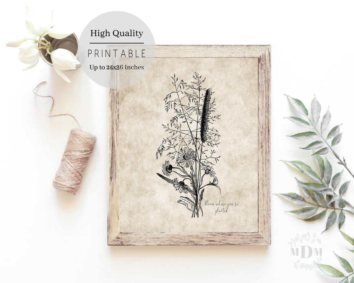 Vintage Wildflower Botanical Illustration Bloom Where Youre Planted Print - Image 2
