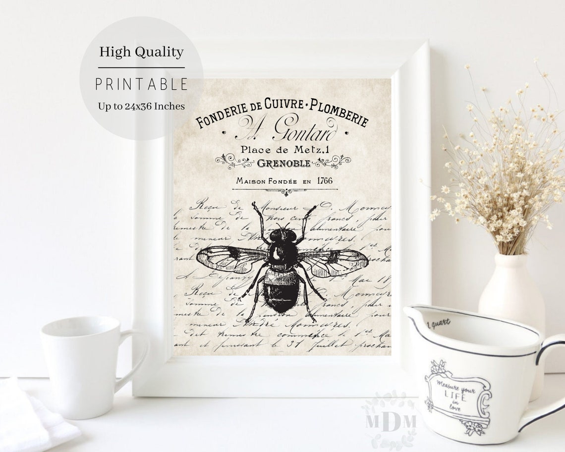 Black Bee French Typography Script Aged Parchment Vintage Wall Poster