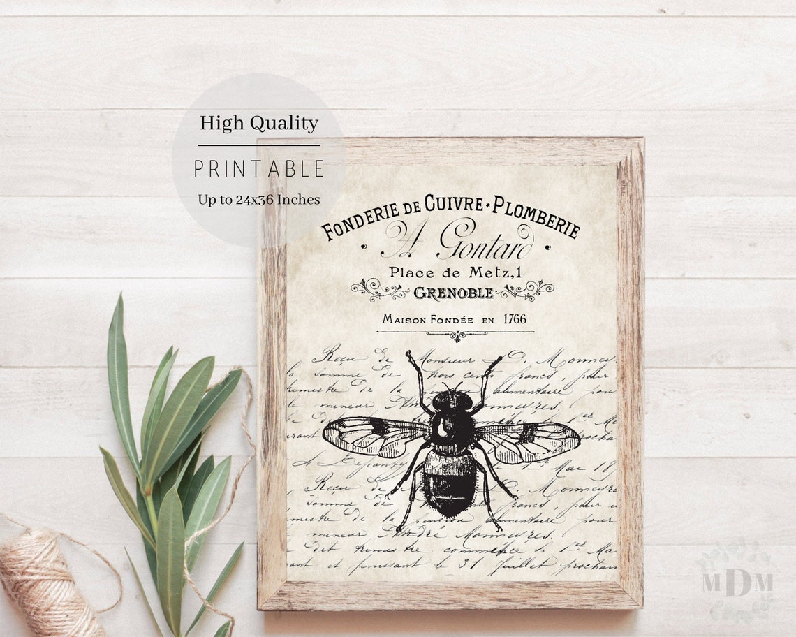 Black Bee French Typography Script Aged Parchment Vintage Wall Poster - Image 5