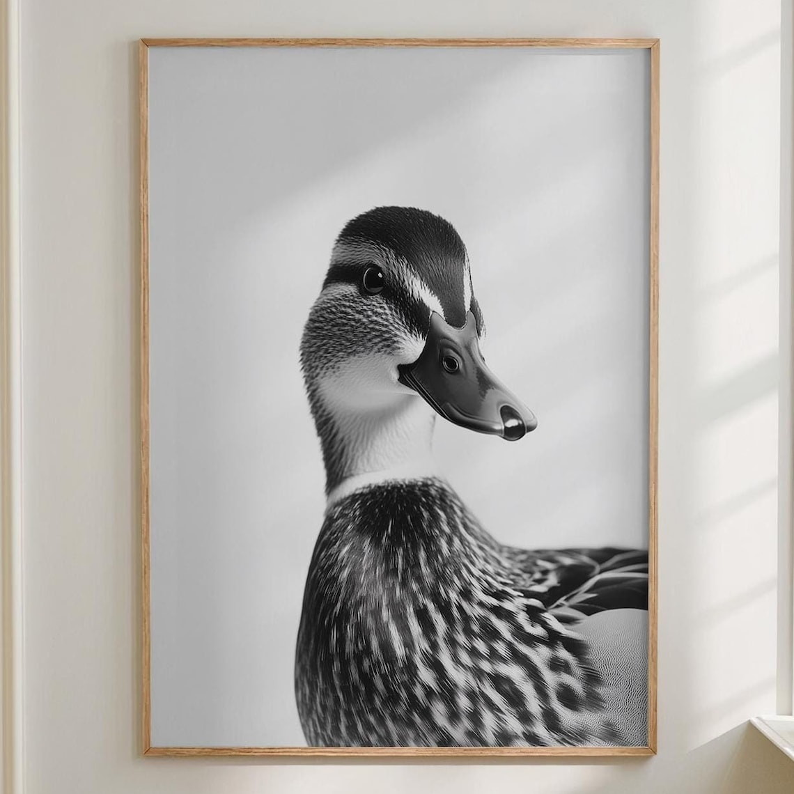 Mallard Duck Front View Black and White Animal Photography Wall Art