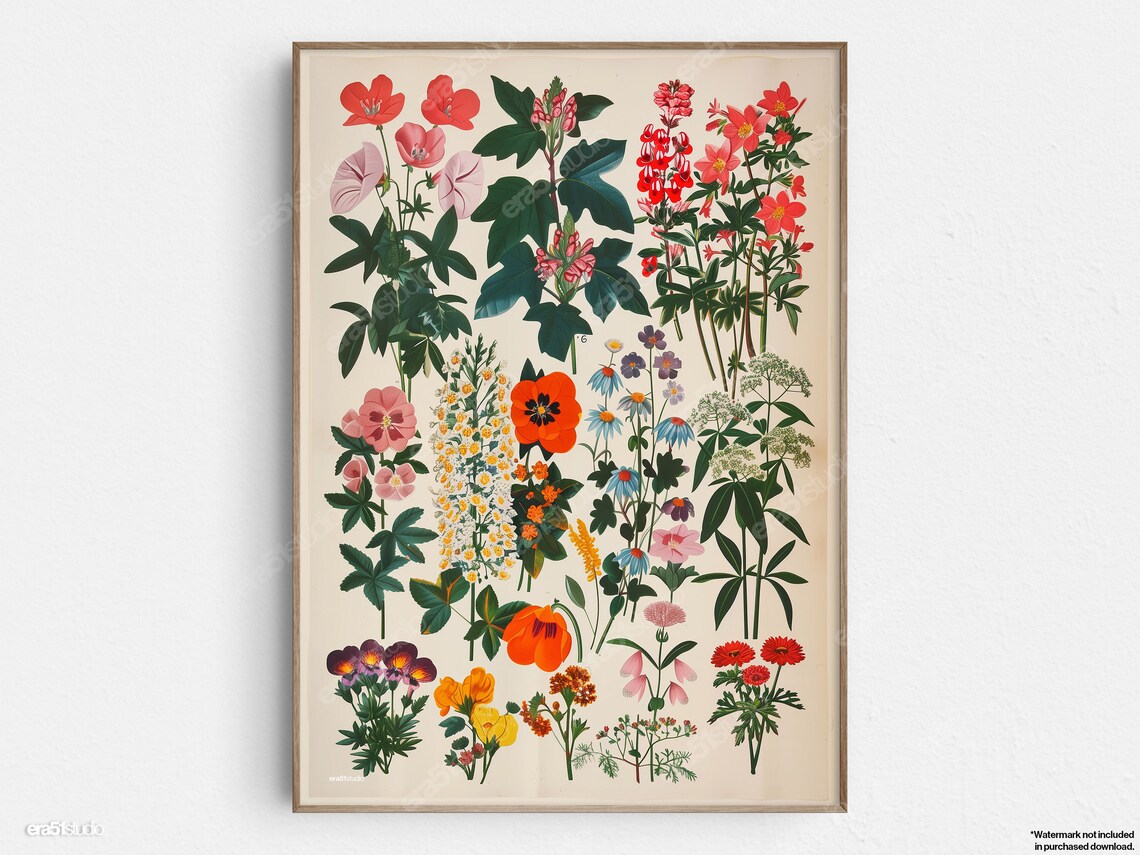 Botanical Vintage Flowers Art Print, Midcentury Modern