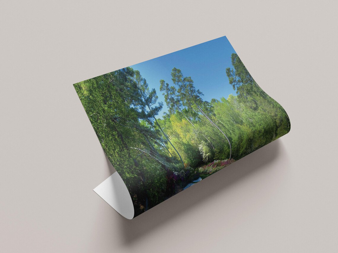 Augusta National Golf Poster, Georgia Golf Club - Image 2