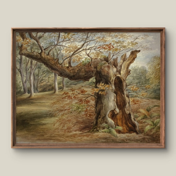 Ancient Hollow Oak Tree Autumn Woodland Watercolor Painting Poster
