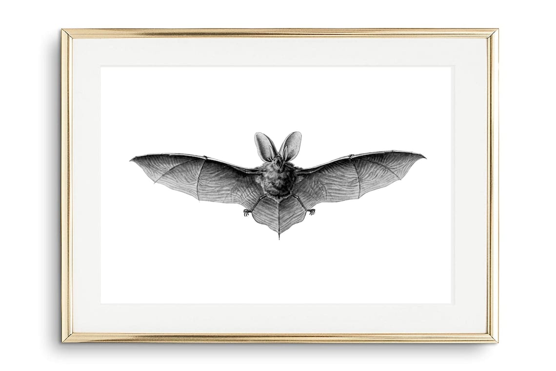 Cute Smiling Bat Cartoon Watercolor Kids Nursery Animal Wall Poster - Image 2