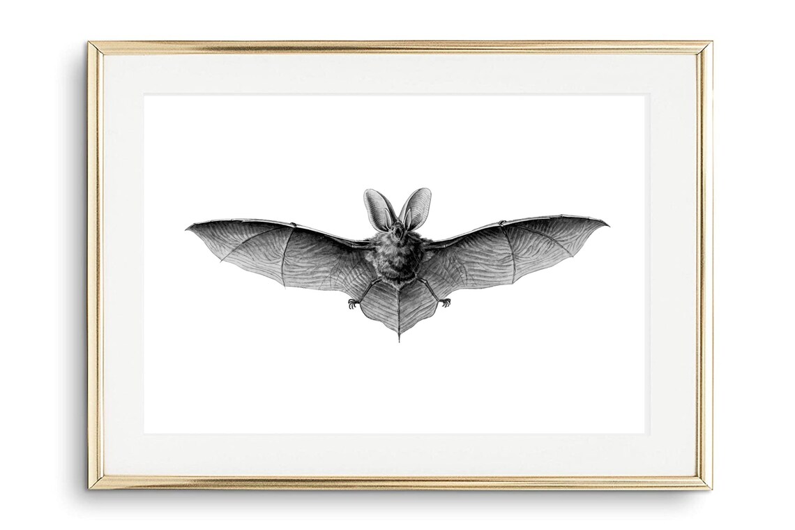 Din A4 Art Print Without Frame Funny Bat Watercolor Nature Mammal Comic Style Image Poster Print - Image 2