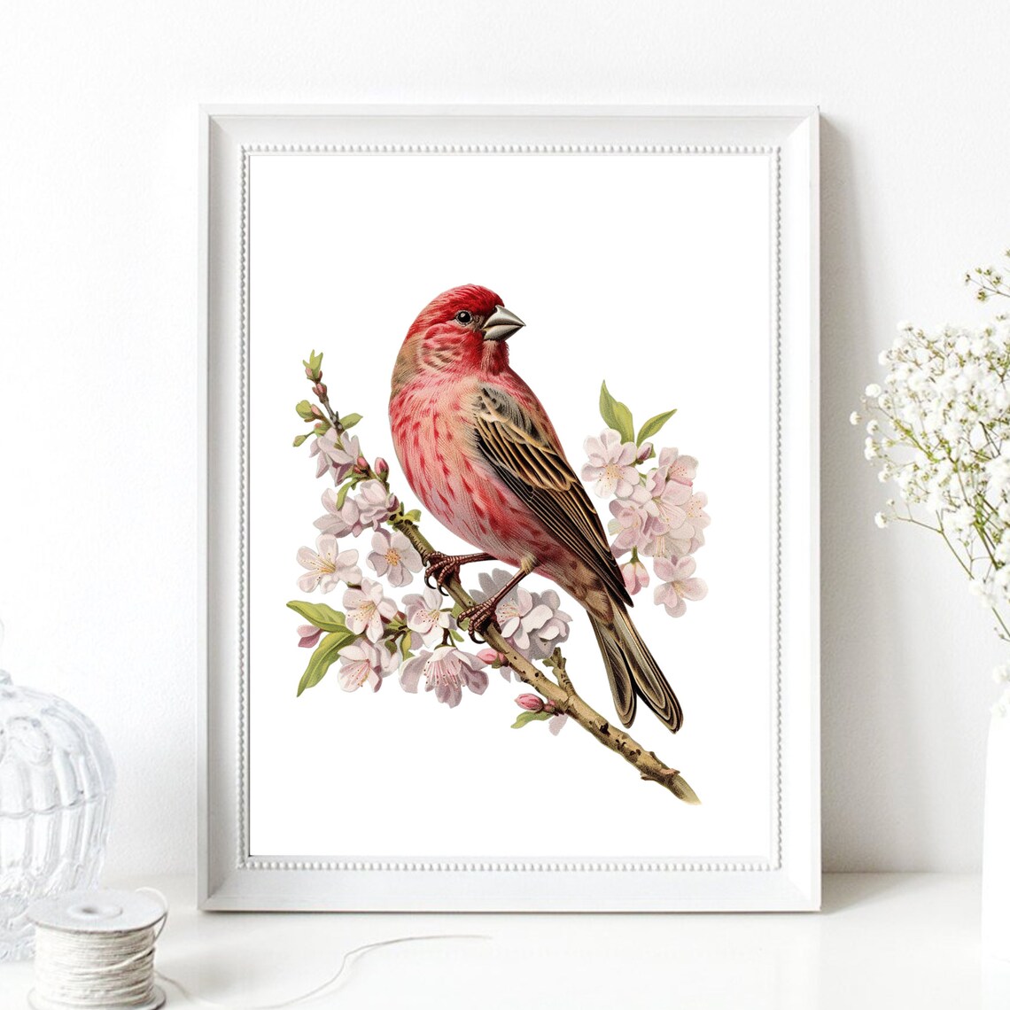 Red Finch Bird On Cherry Blossom Branch Vintage Nature Art Poster