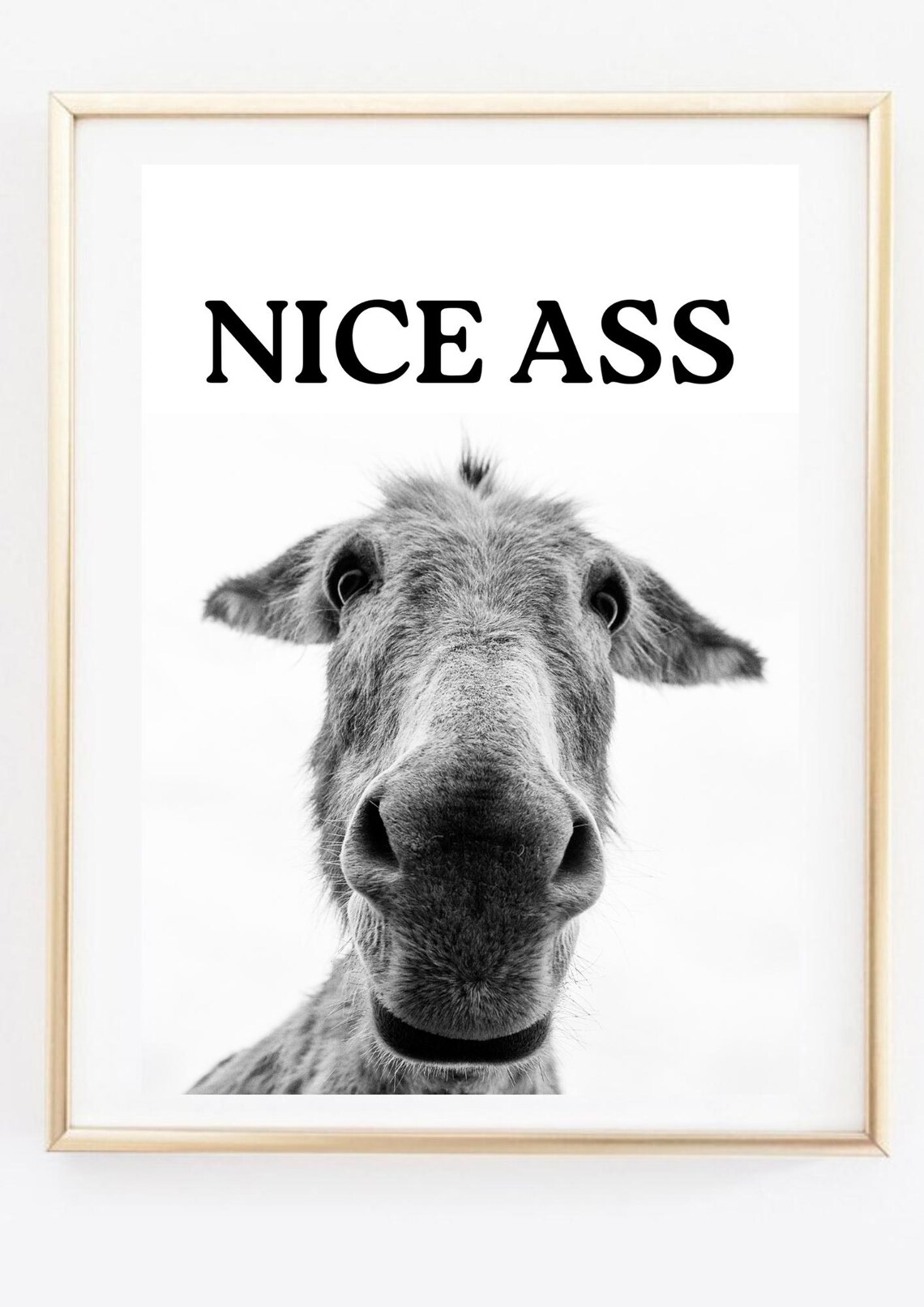 Funny Donkey Nice Ass Quote Photo Bathroom Humor Black White Poster - Image 2