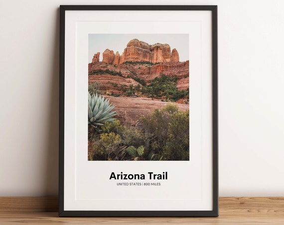 Arizona Trail United States Red Rock Desert Cactus Scene Poster