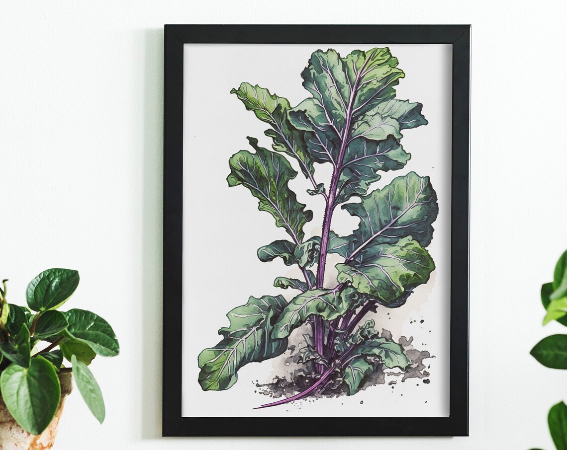 Collard Greens Watercolor Botanical Plant On White Kitchen Wall Art