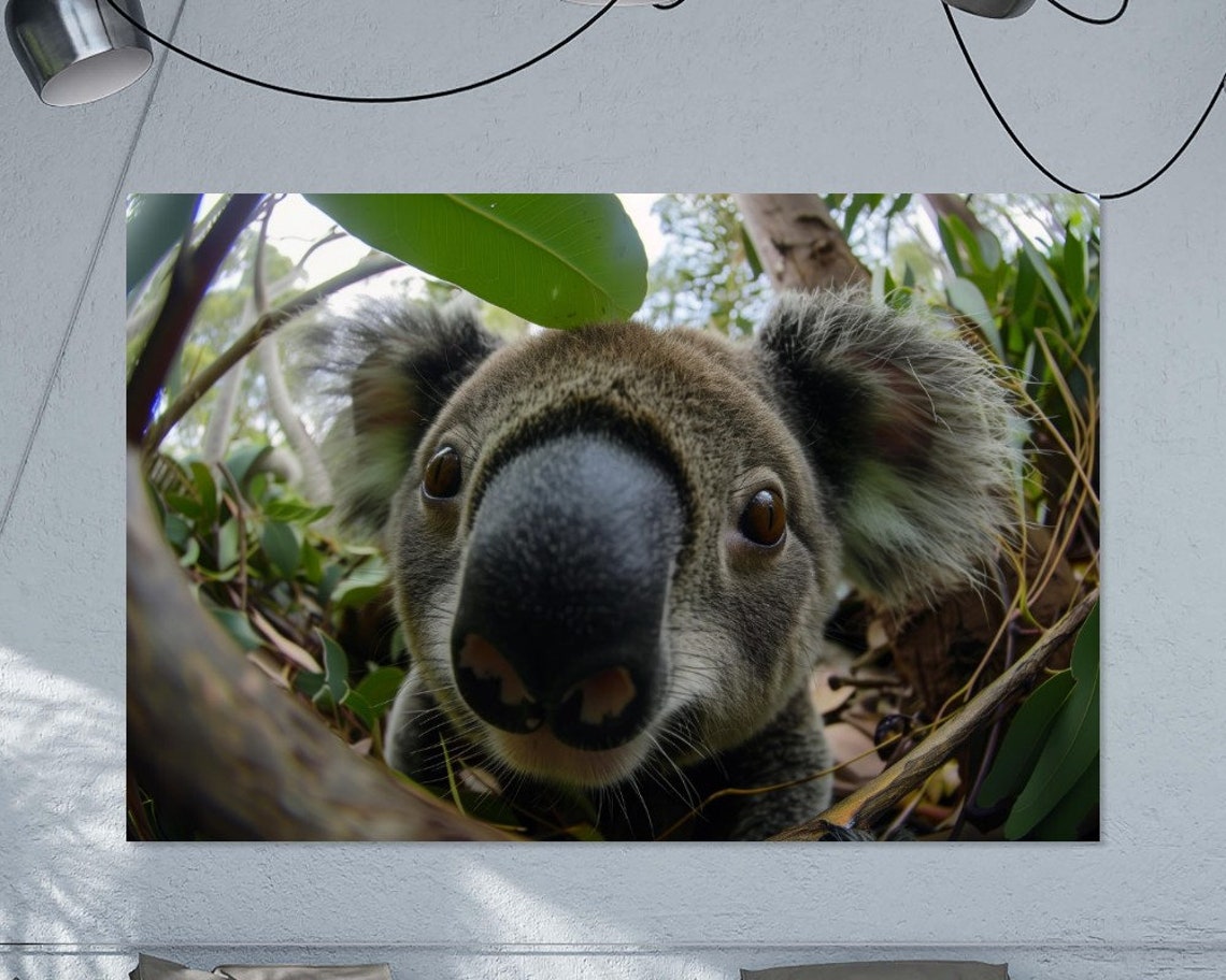Koala Nose Close Up Fish Eye Eucalyptus Wildlife Photography Poster - Image 2