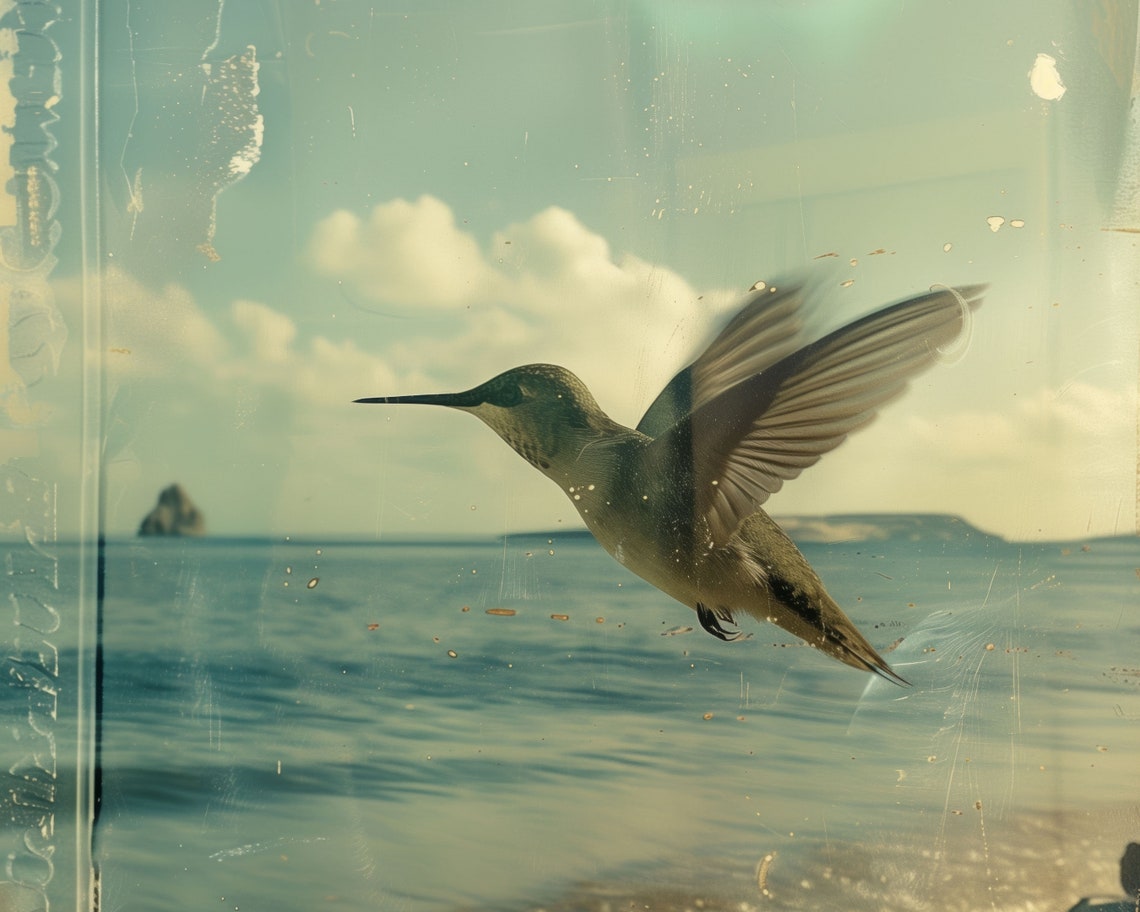 Hummingbird Over Ocean Beach Vintage Coastal Photo Wall Art Print - Image 3